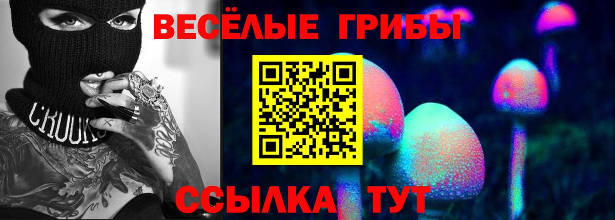 Батайск  Галлюциногенные грибы Magic Shrooms  купить наркотик  Вход с VPN  Псилоцибиновые грибы прущие грибы 